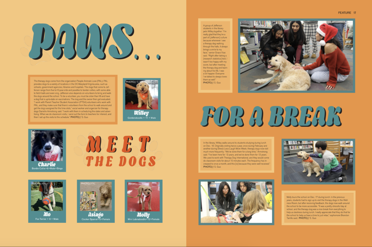 Reporting by Sophia Guo; design by Sophia Guo & Hannah Liu
